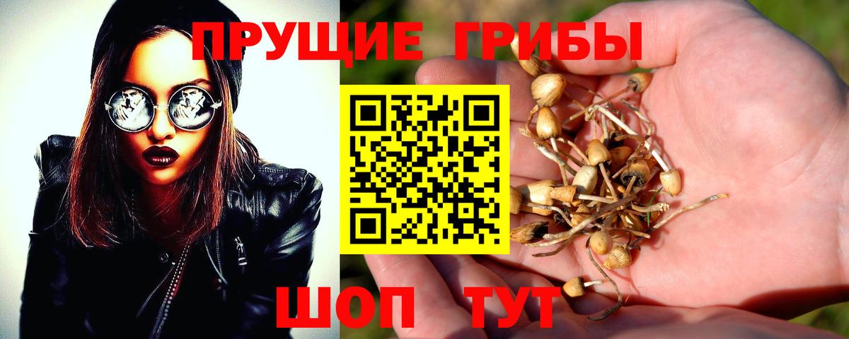 Галлюциногенные грибы Psilocybe  Вход с VPN  Трёхгорный 