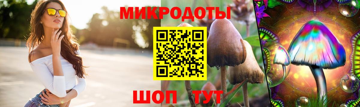 Галлюциногенные грибы мухоморы Трёхгорный